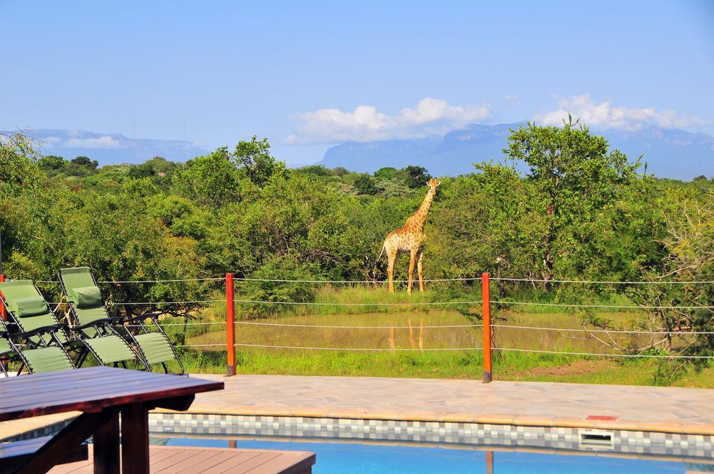 Cheetah Paw Eco Lodge Guernsey Nature Reserve Екстер'єр фото