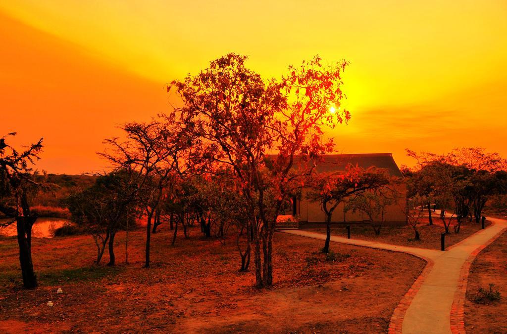 Cheetah Paw Eco Lodge Guernsey Nature Reserve Екстер'єр фото